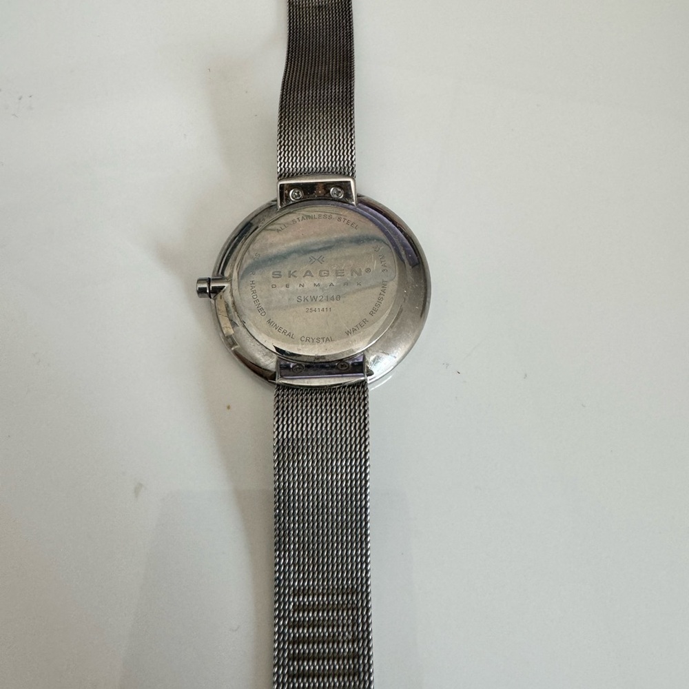 Silver Skagen Watch